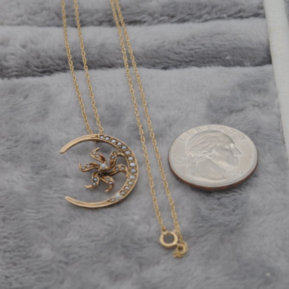 Victorian 14K YGold Cresent Moon Starburst Flower with Pearl and Seed Pearls - Picture 8 of 10